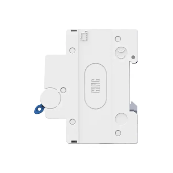 PXB2Ln-63 RCBO (Residual Current Circuit Breaker) OEM Manufacturer